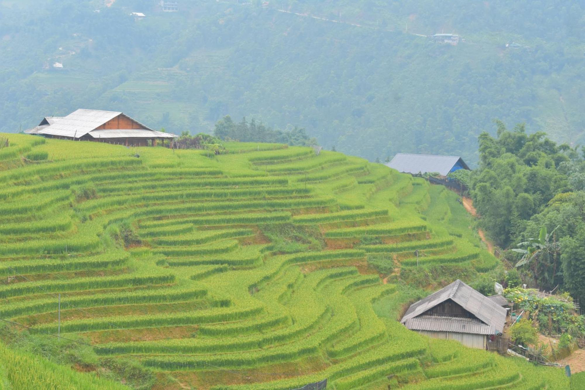 Khen Mong Nature Hotel Sapa Exteriör bild